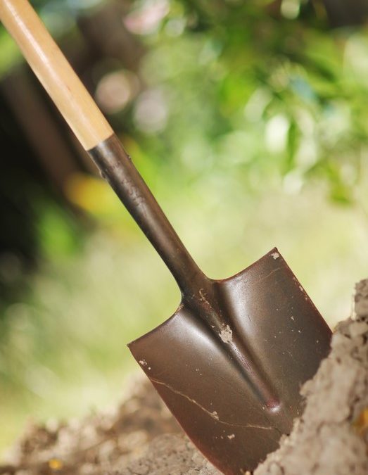 Diggin’ in the Dirt