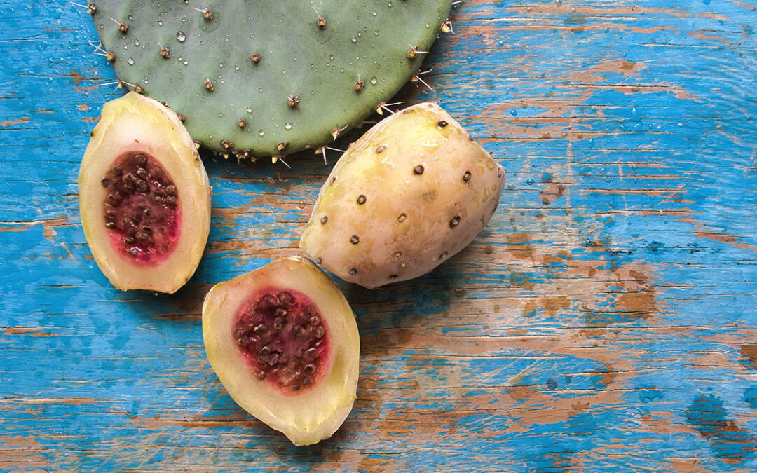 Explore Some Mind-blowing Health Benefits of Nopal Cactus (The Super Food)!