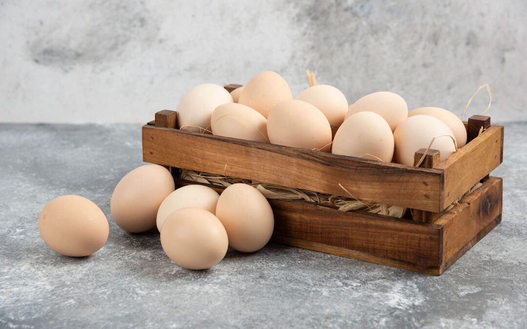 What Are The Nutritional Differences For Different Types Of Eggs?