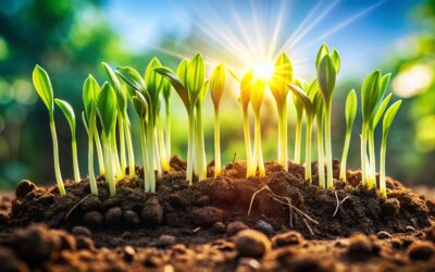 Hyperlipidemia: Plant-Based Lipid Improvement