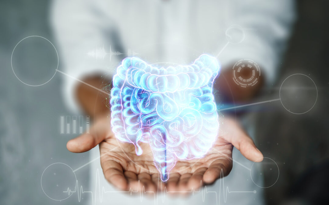 Probiotics & Gut Health: The Microbial Metropolis