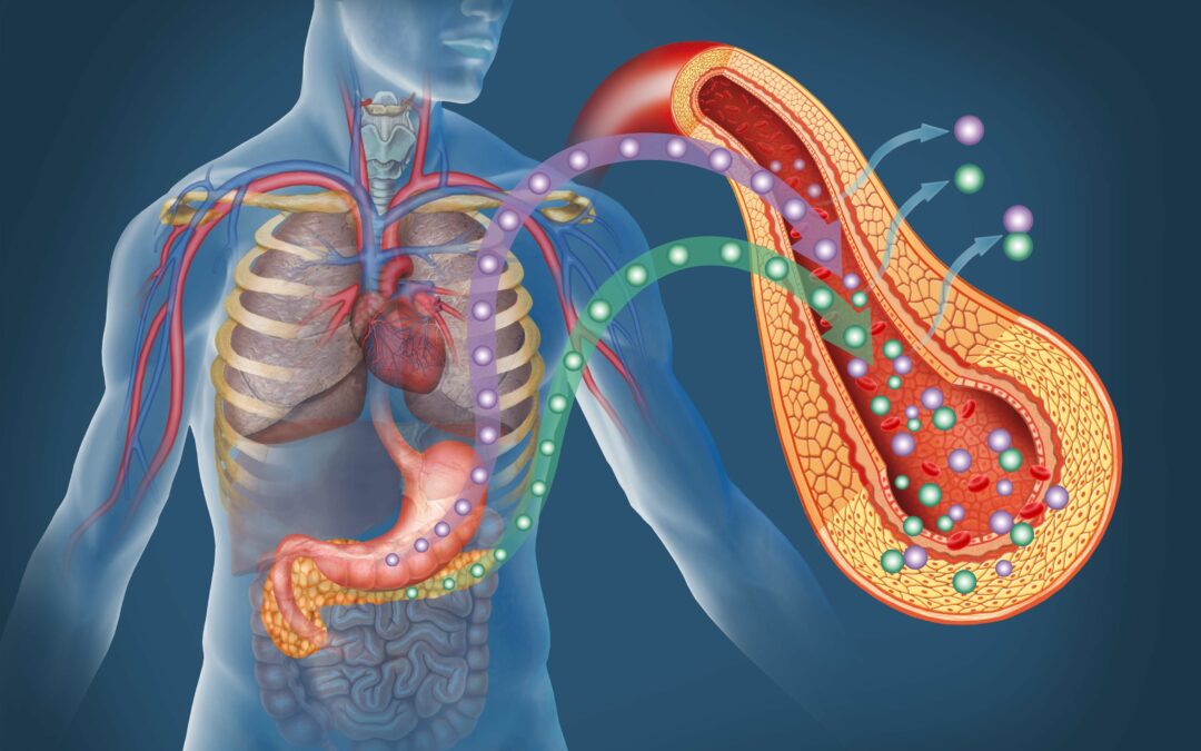 Diabetes: Role of Gut Health in Diabetes
